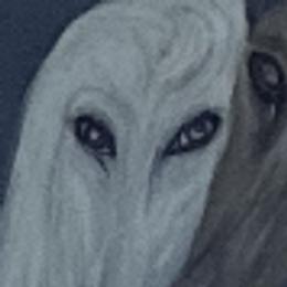 Afghan Hounds from Ancient Afghan Kings
