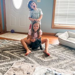 French Bulldog Puppies from Jolie Frenchies