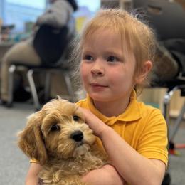 Australian Labradoodle Puppies from Maple Lane Australian Labradoodles
