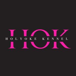 Girl 1 - female Labrador Retriever puppy in Deltaville, Virginia from Holyoke Kennel