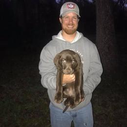Labrador Retriever Puppies from Midnight Ridge Retrievers LLC