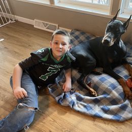 Doberman Pinscher puppies from Tx Pups