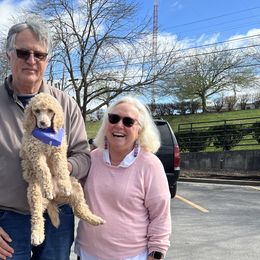 “Pancake” Purple Collar Female - Apricot Poodle puppy in Buckhorn, Kentucky from Abner Farm’s Poodles