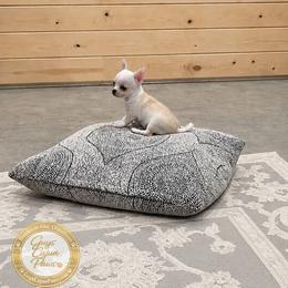 Daisy - Cream and white female Chihuahua puppy in De Quincy, Louisiana from Guys Cajun Paws