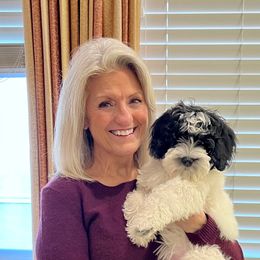 Bernedoodle and Bernese Mountain Dog Puppies from Bernedoodle.do