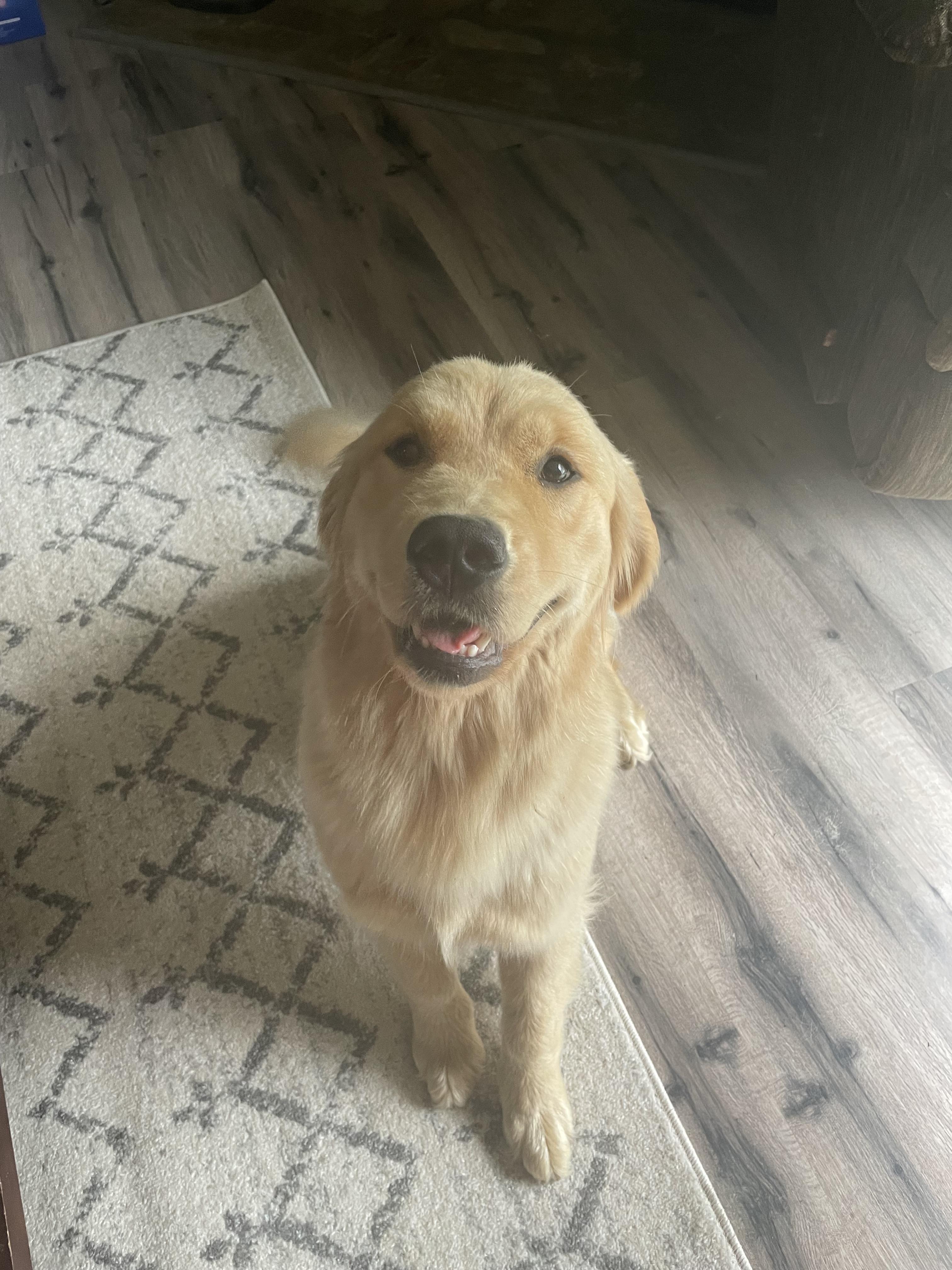 Lacey
