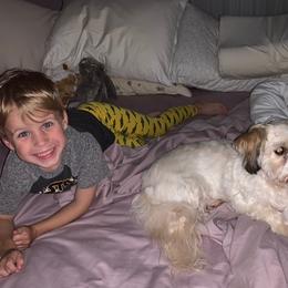Havanese All Grown Up from Jacqueline Carney
