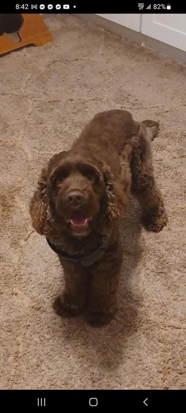 REMI