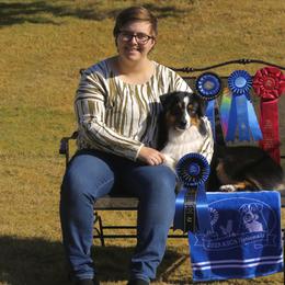 Australian Shepherd and Miniature Australian Shepherd All Grown Up from Ridgestar Aussies