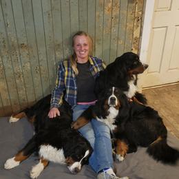 Bernese Mountain Dog All Grown Up from Black Forest Bernese