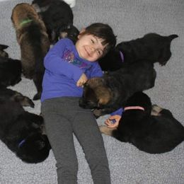 German Shepherd Puppies from Glaurung Kennel