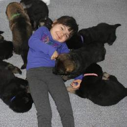 German Shepherd Puppies from Glaurung Kennel