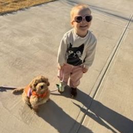 Cockapoo, Double Doodle, Goldendoodle, Poodle, and Shihpoo Puppies from Peace, Love, and Puppies at the Creek