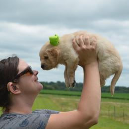 Archie Finn (Green collar) - Golden male Golden Retriever puppy in Webster City, Iowa from Whispering Pines Precious Puppies