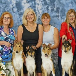Collies from Tamiami collies