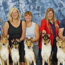 Collies from Tamiami collies