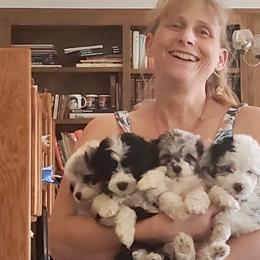 Aussiedoodles, Australian Shepherds, Dachshunds, and Miniature Australian Shepherds from Bline’s Awesome Aussies at the Bline Family Farm