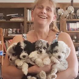 Aussiedoodles, Australian Shepherds, Dachshunds, and Miniature Australian Shepherds from Bline’s Awesome Aussies at the Bline Family Farm