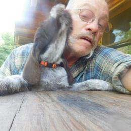 Spinone Italiano Puppies from Maple Hollow Spinone