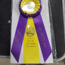 Dachshund All Grown Up from Woodshafen