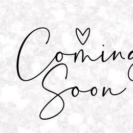 Girl 2 - Black and white female Cocker Spaniel puppy in Columbia, South Carolina from Fleur de Lis Cockers- Cuchna Cockers