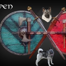 Norwegian Elkhound Puppies from Aspen Norwegian Elkhounds