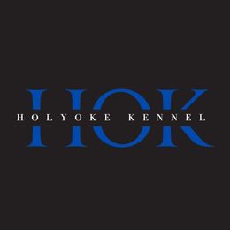 Blue - Black male Labrador Retriever puppy in Deltaville, Virginia from Holyoke Kennel