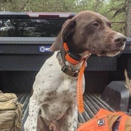 Moose - German Shorthaired Pointer