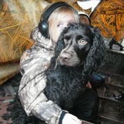 Boykin Spaniel and Labrador Retriever All Grown Up from Copper Creek Outfitters and Kennel