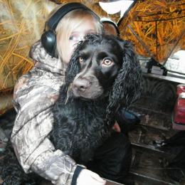 Boykin Spaniel and Labrador Retriever All Grown Up from Copper Creek Outfitters and Kennel