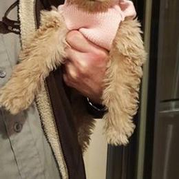 Bernedoodle, Goldendoodle, and Labradoodle Puppies from Apple Creek Doodles
