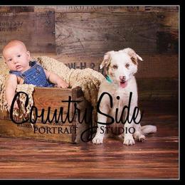 Border Collie Puppies from M and J Farm