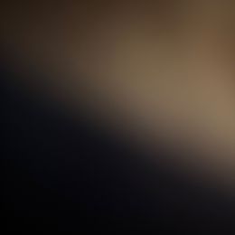 Tan - Gray and fawn female Cane Corso puppy in Opelousas, Louisiana from Azelees Cane Corso