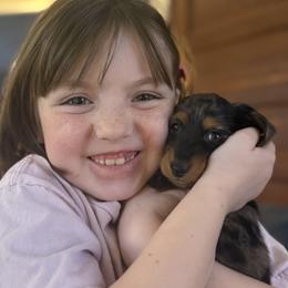 Dachshund Puppies from Birkin’ Paws