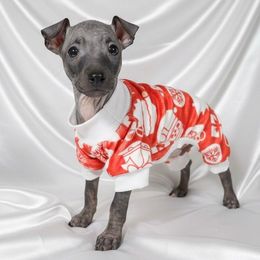 Diamond - White and black female American Hairless Terrier puppy in Atlanta, Georgia from Royal Flush Kennels