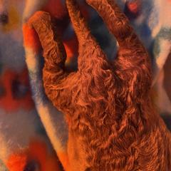 Australian Terrier, Chesapeake Bay Retriever, and Golden Retriever Puppies from Breezeswept Kennel