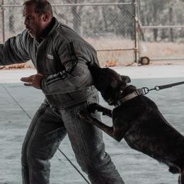Belgian Malinois and xDutch Shepherds from Alliance K9