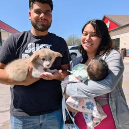 Kenny - Fawn merle male American Corgi puppy in Shawnee, Oklahoma from Sunray Ranch
