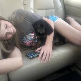 Cavalier King Charles Spaniel Puppies from 5dubs Cavaliers
