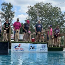 Golden Retriever Puppies from Evergrace Goldens