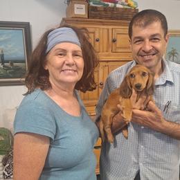 Dachshund Puppies from Green Acres Dachshunds
