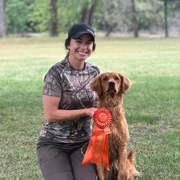 Rizzo - Golden Retriever