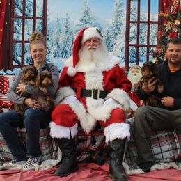 Dachshund Puppies from Divine Teckel Tails