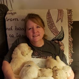 Golden Retriever Puppies from Garden Creek Goldens