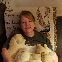 Golden Retriever Puppies from Garden Creek Goldens