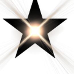 Yorkshire Terrier puppies from Rising Star Kennels