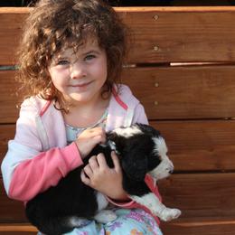 Bernedoodle and Bernese Mountain Dog Puppies from Basin Berners