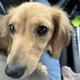 Georgia