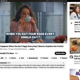 Coton de Tulear Puppies from Marnac