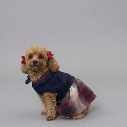 Romi - Poodle